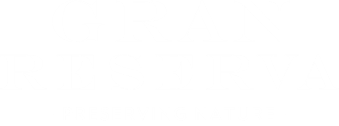 Navbar Logo